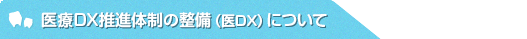 医療DX推進体制の整備（医DX）について